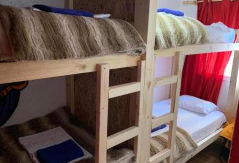 ルームシェアのワンベッド, Ecoluna Lodge Hostel