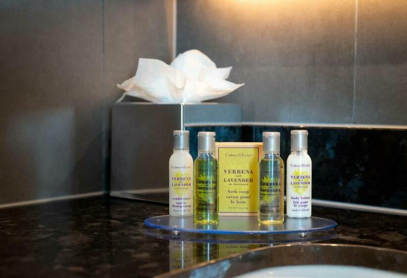 带大床的标准间, Hilton Garden Inn London Heathrow Terminal 2 And 3