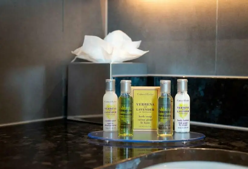 اتاق استاندارد با تخت بزرگ, Hilton Garden Inn London Heathrow Terminal 2 And 3