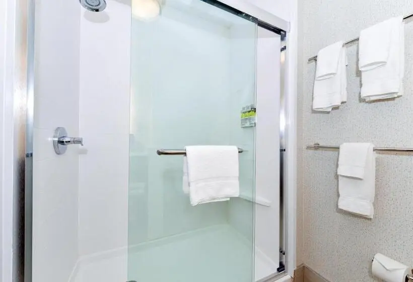 キングサイズベッドのスイートルーム, Holiday Inn Express & Suites Elko, An Ihg
