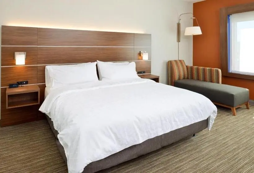 キングサイズベッドのエクゼクティブルーム, Holiday Inn Express & Suites Elko, An Ihg