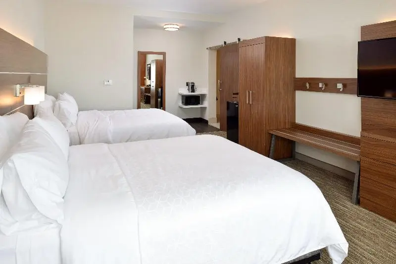 身障者適用スタンダードルーム, Holiday Inn Express & Suites Elko, An Ihg