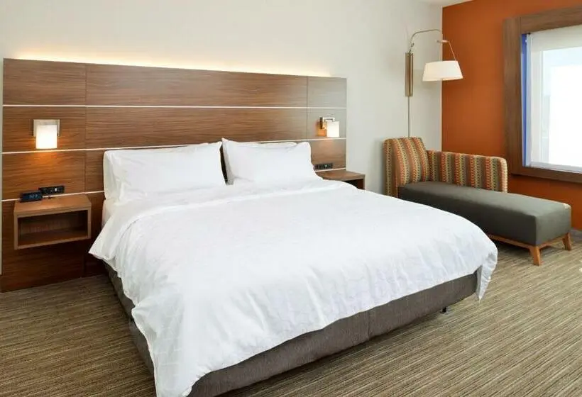 スタンダードルーム, Holiday Inn Express & Suites Elko, An Ihg