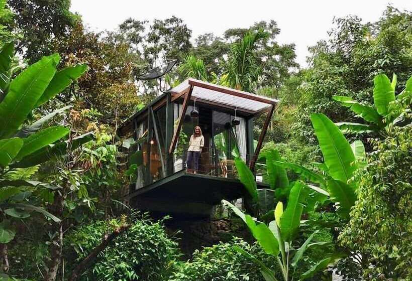 Студия Стандарт Двуспальная Кровать, Voraman Hut