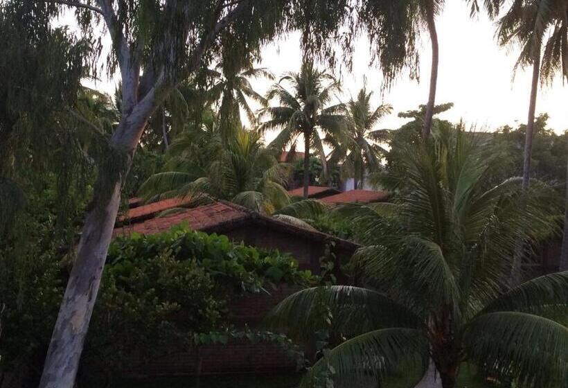 غرفة قياسية مطلّة علي الحديقة, & Bar La Guitarra