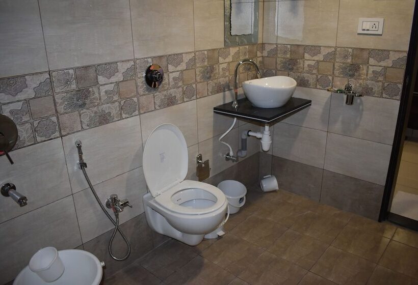 豪华房间, Shyam Palace