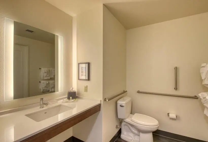 身障者適用スタンダードルーム, Holiday Inn   Appleton, An Ihg