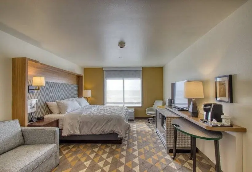 身障者適用スタンダードルーム, Holiday Inn   Appleton, An Ihg