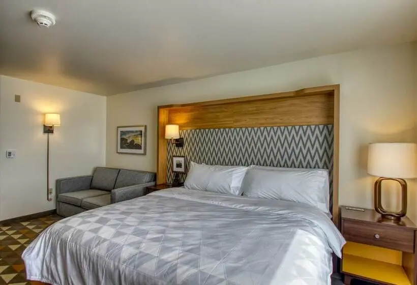 身障者適用スタンダードルーム, Holiday Inn   Appleton, An Ihg