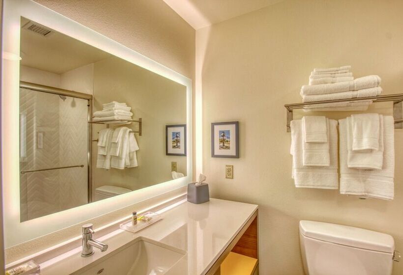 适合残疾人使用的标准间, Holiday Inn   Appleton, An Ihg