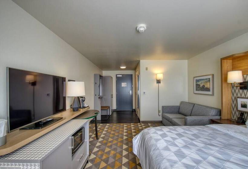 适合残疾人使用的标准间, Holiday Inn   Appleton, An Ihg