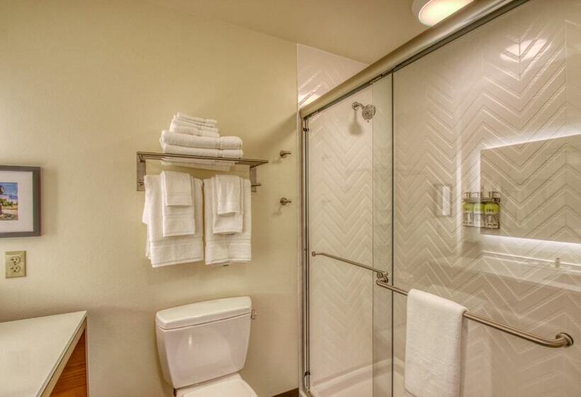 장애인을 위한 스탠다드 룸, Holiday Inn   Appleton, An Ihg