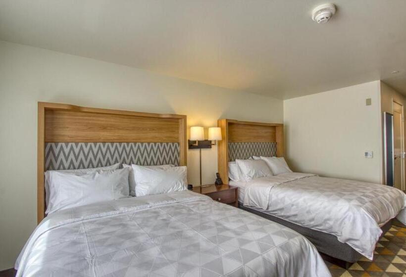 标准间, Holiday Inn   Appleton, An Ihg