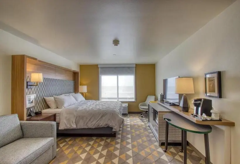 身障者適用キングサイズベッドルーム, Holiday Inn   Appleton, An Ihg