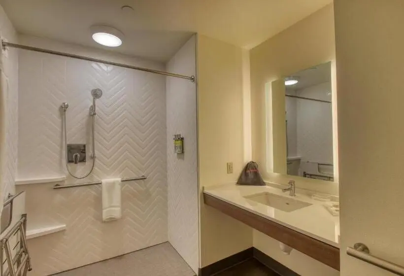 身障者適用キングサイズベッドルーム, Holiday Inn   Appleton, An Ihg