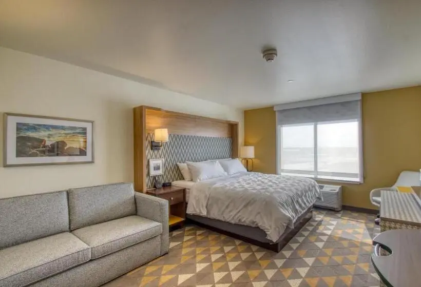 身障者適用キングサイズベッドルーム, Holiday Inn   Appleton, An Ihg