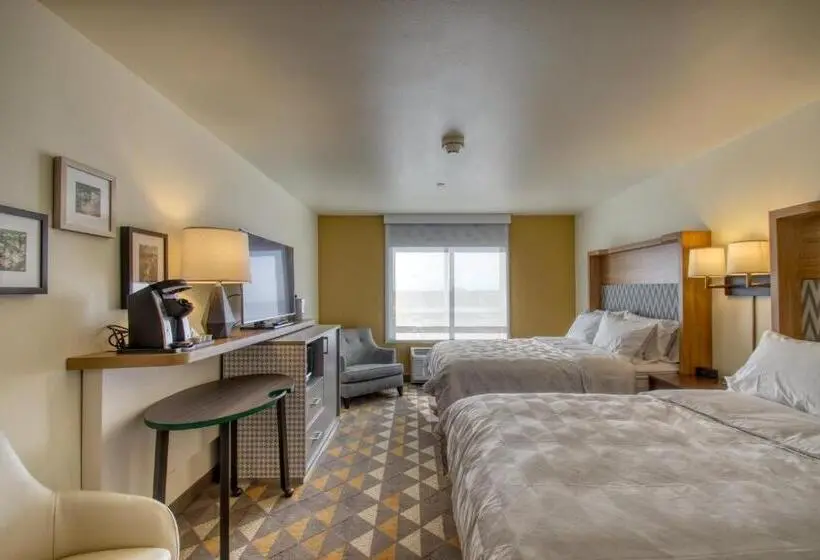 障害者適応デラックスルーム, Holiday Inn   Appleton, An Ihg