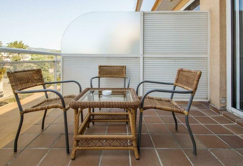 标准三人间, Catalonia Majorica