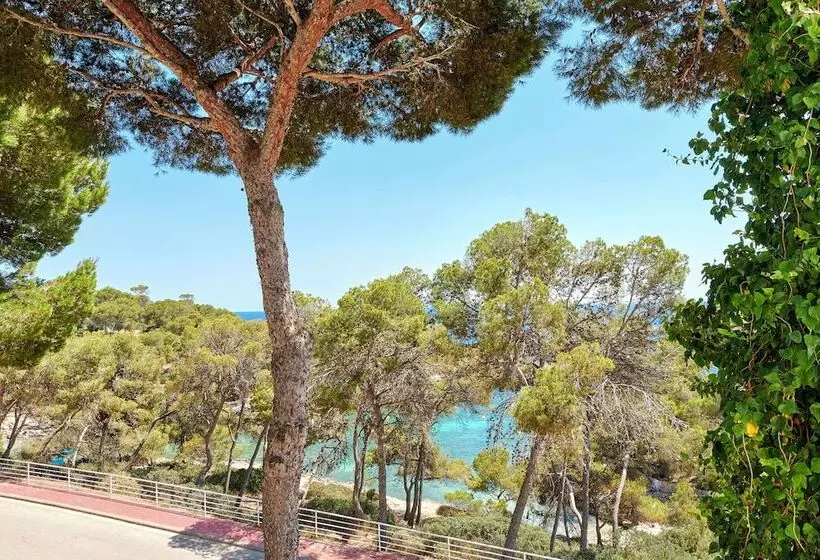 Junior Suite mit Meerblick, Iberostar Waves Club Cala Barca