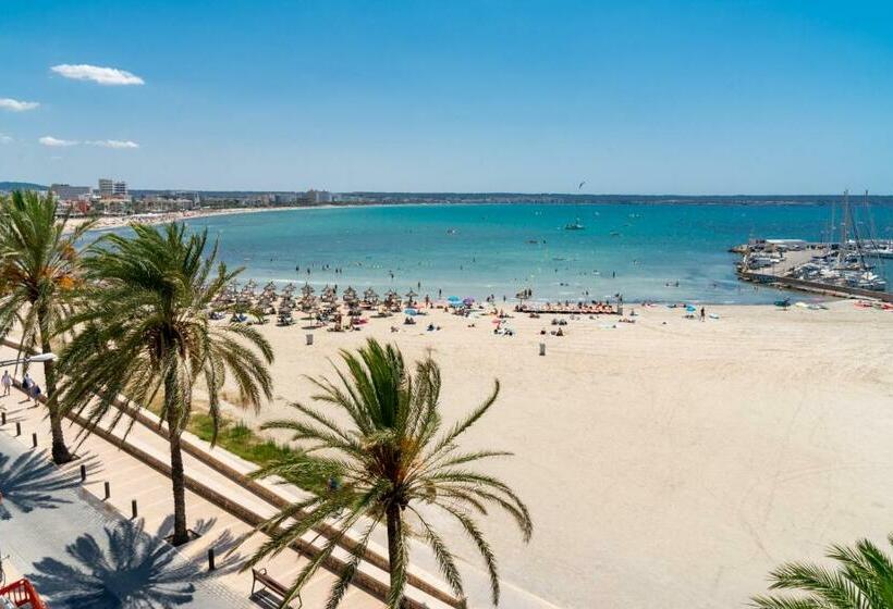 스탠다드 룸 바다 전망, Las Arenas