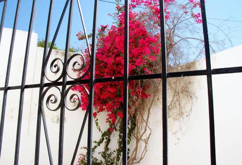 غرفة قياسية ثلاثية, Mi Casa