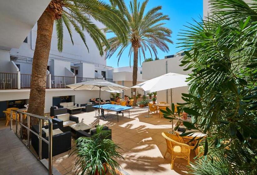 Номер Economy, More