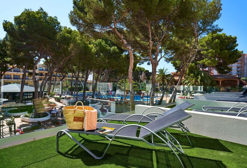 Номер Стандарт, & Spa S'entrador Playa