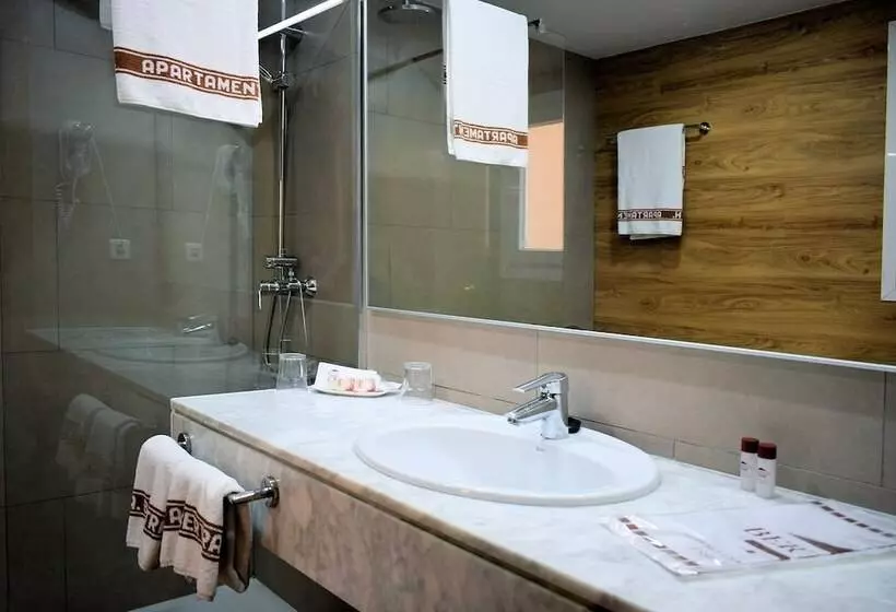 آپارتمان 1 خوابه با تراس, Aparthotel Bertrán