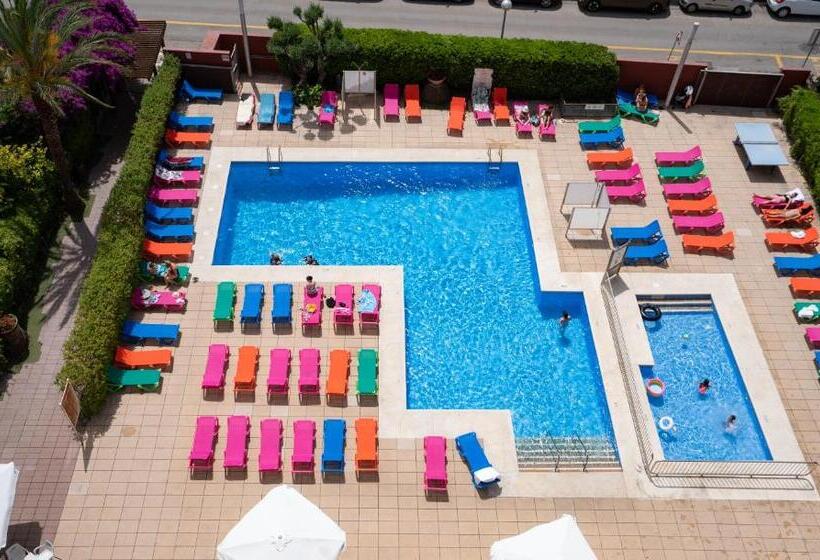 패밀리 룸 풀장 전망, Medplaya Hotel Santa Monica