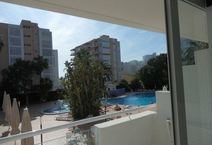 Номер Стандарт, Oleander