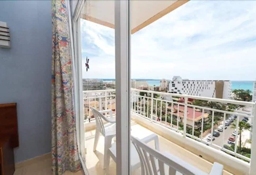 Номер Стандарт, Oleander