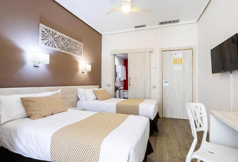 غرفة قياسية, Sweet Hotel Continental