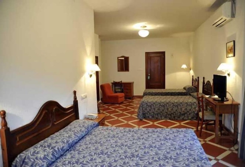 Номер Стандарт, Andalucia