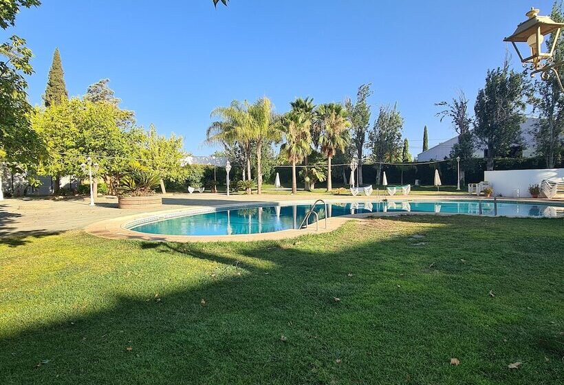 Номер Стандарт, Don Gonzalo