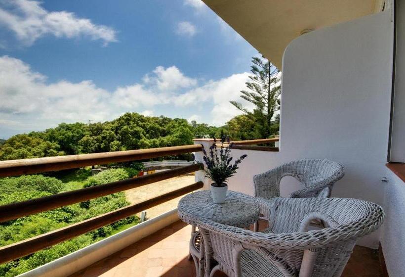 غرفة سوبيريور مزوَّدة بتراس, Meson De Sancho