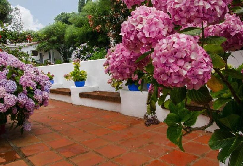 بنجلو قياسى, Meson De Sancho