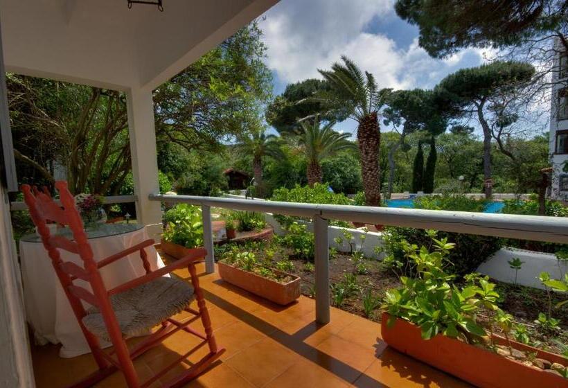 بنجلو قياسى, Meson De Sancho