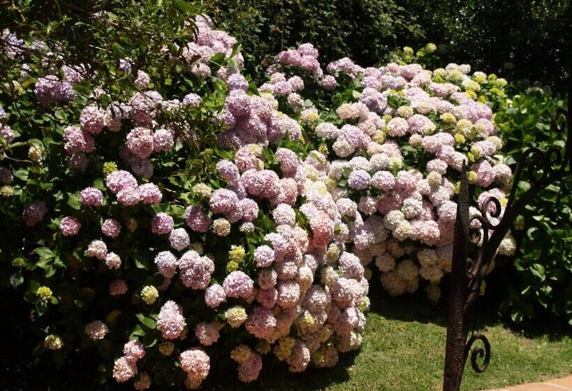 غرفة إقتصادية, Meson De Sancho