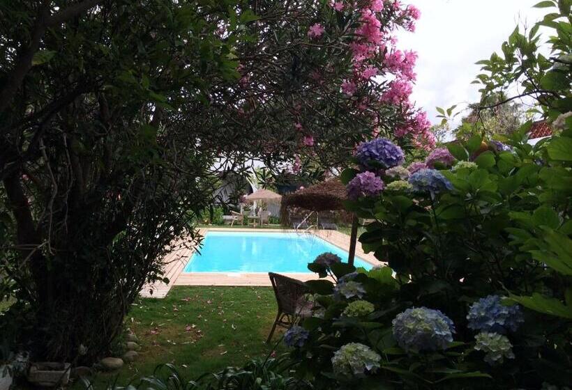 غرفة قياسية فردية, Meson De Sancho