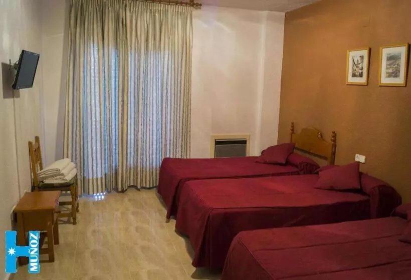 Chambre Standard, Muñoz