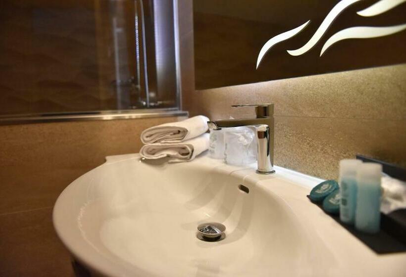 标准间, Pedro I De Aragon 4 Estrellas Superior