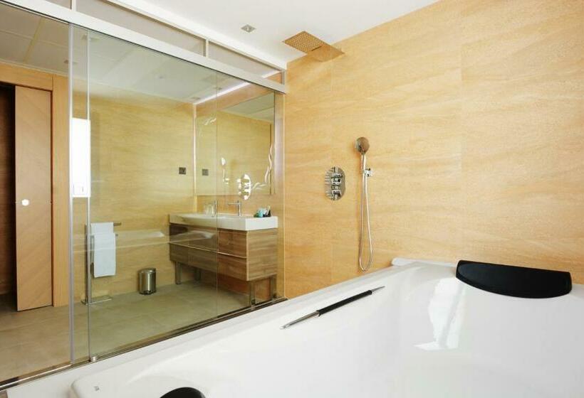 带露台的套间, Pedro I De Aragon 4 Estrellas Superior