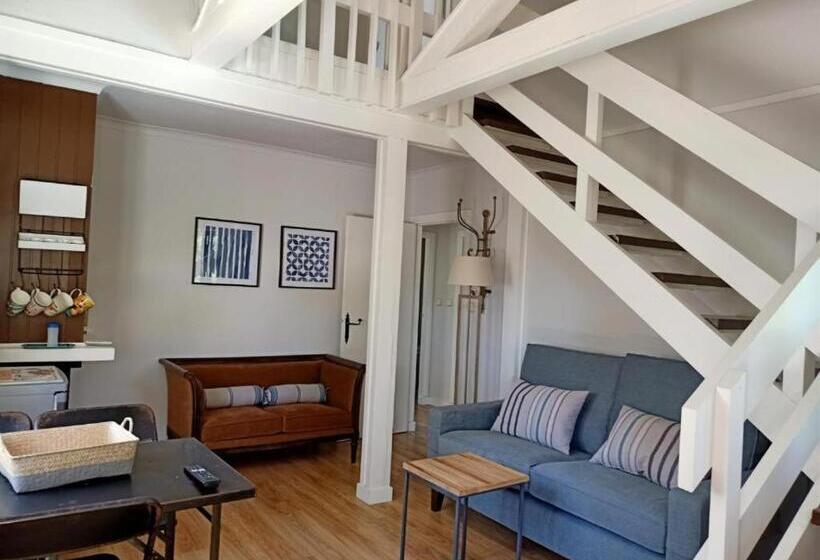 스탠다드 방갈로 정원 전망, Hita