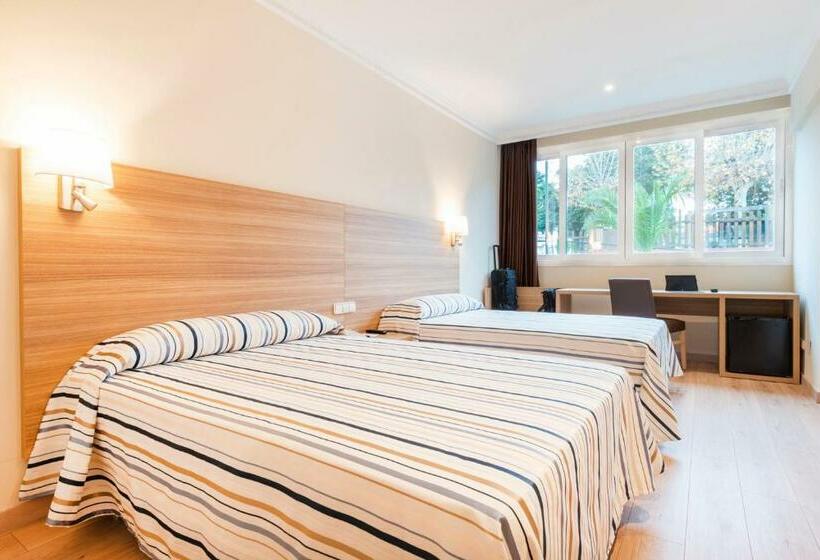 اتاق استاندارد, Best Osuna