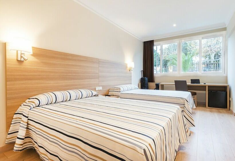 اتاق استاندارد, Best Osuna