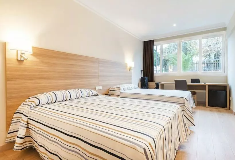 StandaardKamer, Best Osuna