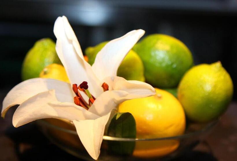 اتاق استاندارد, Ibis Styles La Rioja Arnedo