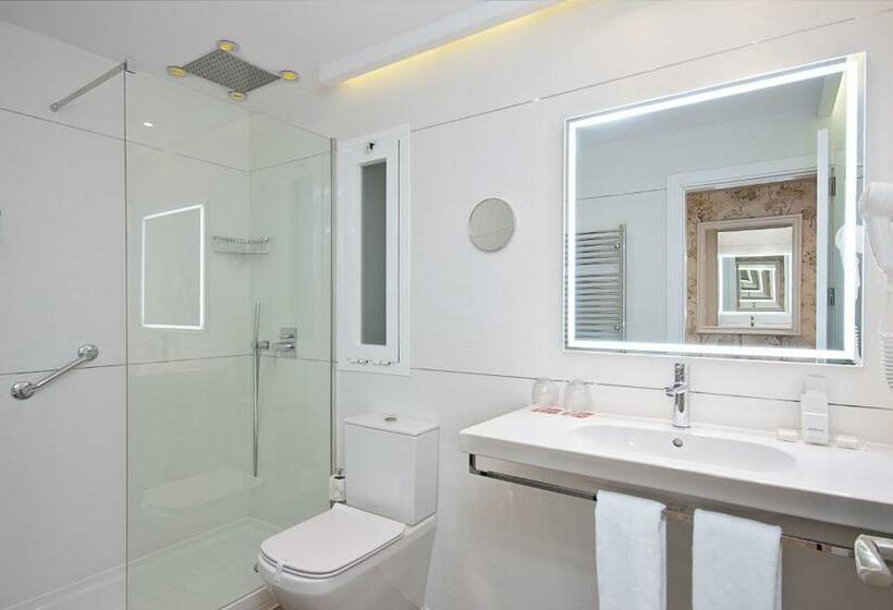 اتاق استاندارد با تراس, Hotel Mayorazgo