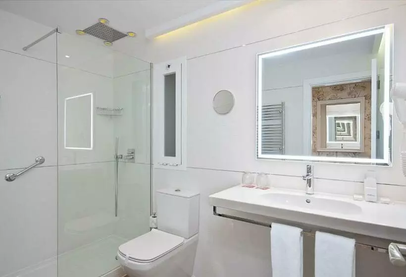 اتاق اکونومی, Hotel Mayorazgo