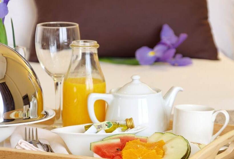 اتاق استاندارد با تراس, Hotel Mayorazgo